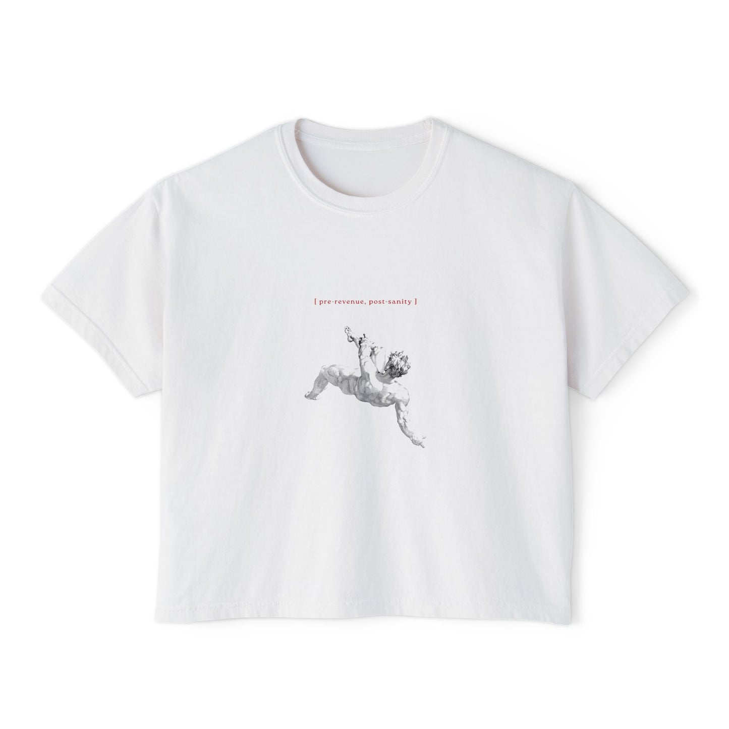 Pre-Revenue, Post-Sanity Tee